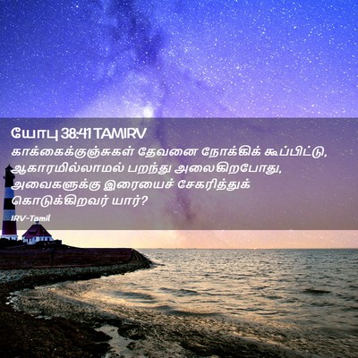 Picture 02 - யோபு 38:41 TAMIRV -  - Bible Verse Picture