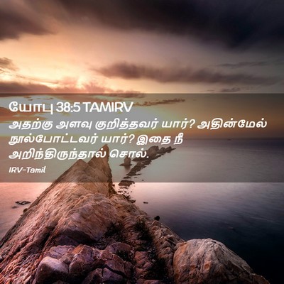 Picture 02 - யோபு 38:5 TAMIRV - அதற்கு அளவு - Bible Verse Picture