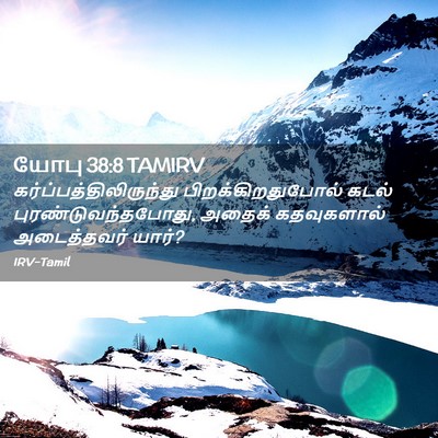 Picture 02 - யோபு 38:8 TAMIRV -  - Bible Verse Picture