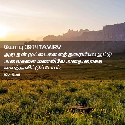 Picture 02 - யோபு 39:14 TAMIRV - அது தன் - Bible Verse Picture