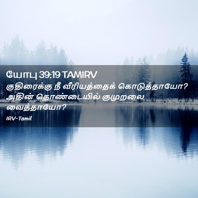 Picture 02 - யோபு 39:19 TAMIRV - குதிரைக்கு நீ - Bible Verse Picture