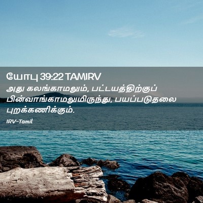 Picture 02 - யோபு 39:22 TAMIRV - அது கலங்காமலும், - Bible Verse Picture
