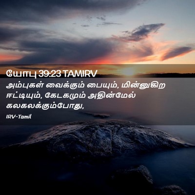 Picture 02 - யோபு 39:23 TAMIRV - அம்புகள் வைக்கும் - Bible Verse Picture