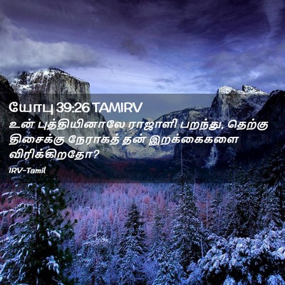 Picture 02 - யோபு 39:26 TAMIRV - உன் புத்தியினாலே - Bible Verse Picture