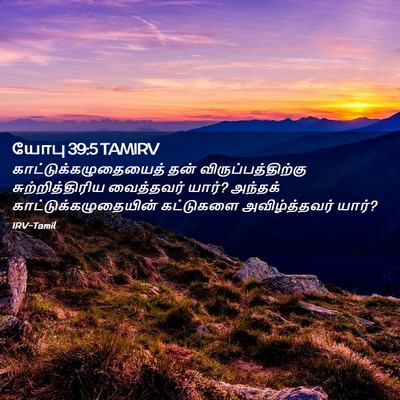 Picture 02 - யோபு 39:5 TAMIRV -  - Bible Verse Picture