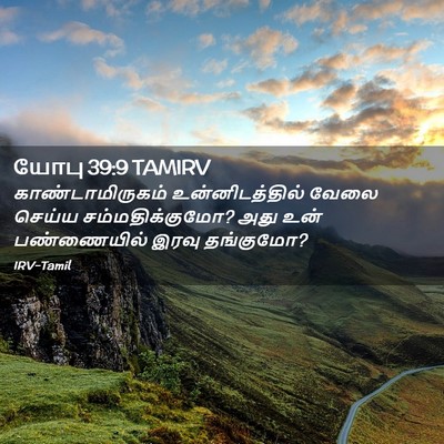 Picture 02 - யோபு 39:9 TAMIRV - காண்டாமிருகம் - Bible Verse Picture