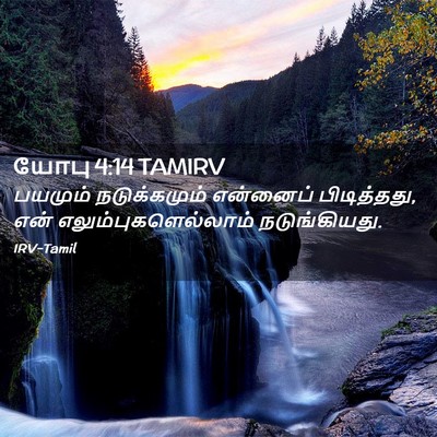 Picture 02 - யோபு 4:14 TAMIRV - பயமும் நடுக்கமும் - Bible Verse Picture