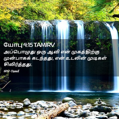 Picture 02 - யோபு 4:15 TAMIRV - அப்பொழுது ஒரு ஆவி - Bible Verse Picture