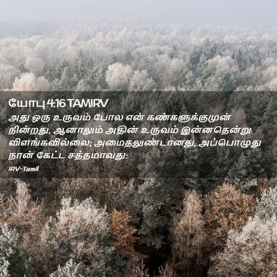 Picture 02 - யோபு 4:16 TAMIRV - அது ஒரு உருவம் போல - Bible Verse Picture