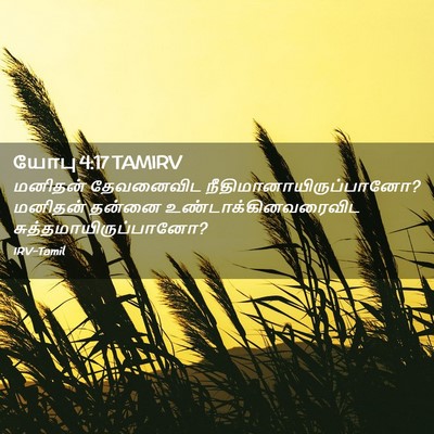 Picture 02 - யோபு 4:17 TAMIRV - மனிதன் தேவனைவிட - Bible Verse Picture