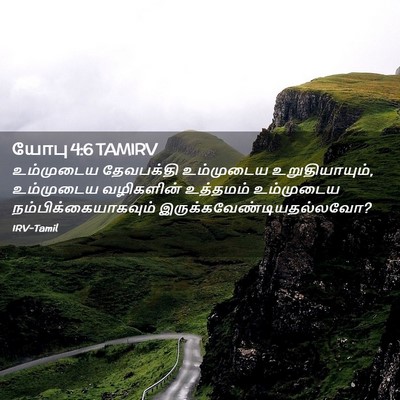 Picture 02 - யோபு 4:6 TAMIRV - உம்முடைய தேவபக்தி - Bible Verse Picture