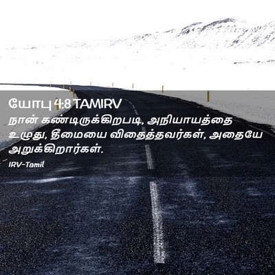 Picture 02 - யோபு 4:8 TAMIRV - நான் - Bible Verse Picture