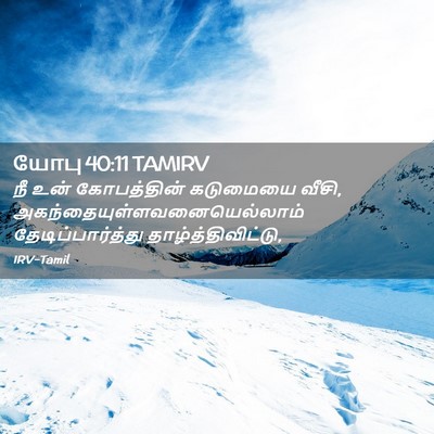 Picture 02 - யோபு 40:11 TAMIRV - நீ உன் கோபத்தின் - Bible Verse Picture