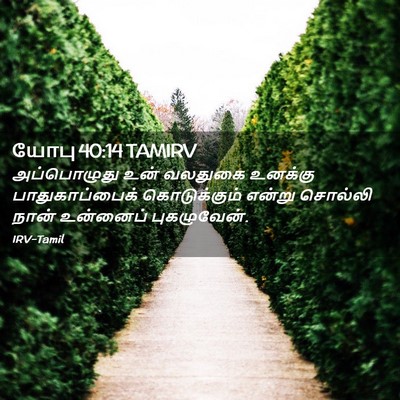 Picture 02 - யோபு 40:14 TAMIRV - அப்பொழுது உன் - Bible Verse Picture