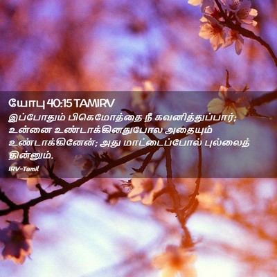 Picture 02 - யோபு 40:15 TAMIRV - இப்போதும் - Bible Verse Picture