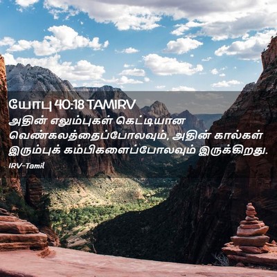 Picture 02 - யோபு 40:18 TAMIRV - அதின் எலும்புகள் - Bible Verse Picture