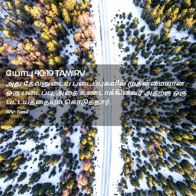 Picture 02 - யோபு 40:19 TAMIRV - அது தேவனுடைய - Bible Verse Picture
