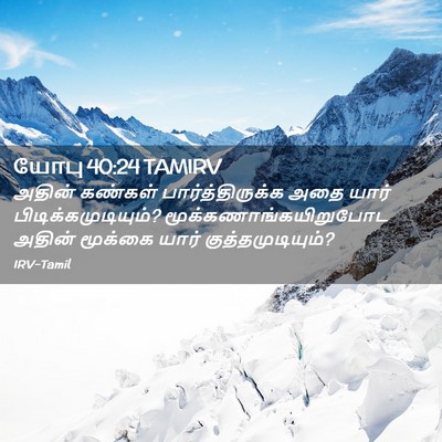 Picture 02 - யோபு 40:24 TAMIRV - அதின் கண்கள் - Bible Verse Picture