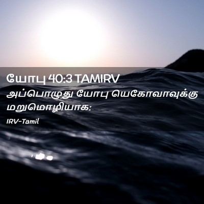 Picture 02 - யோபு 40:3 TAMIRV - அப்பொழுது யோபு - Bible Verse Picture