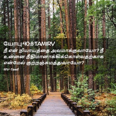 Picture 02 - யோபு 40:8 TAMIRV - நீ என் நியாயத்தை - Bible Verse Picture