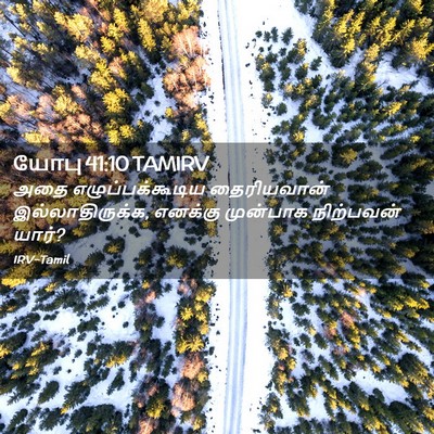 Picture 02 - யோபு 41:10 TAMIRV - அதை எழுப்பக்கூடிய - Bible Verse Picture