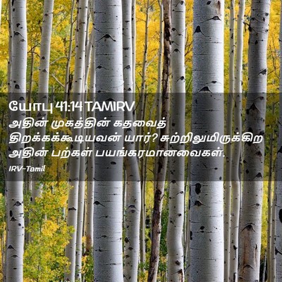 Picture 02 - யோபு 41:14 TAMIRV - அதின் முகத்தின் - Bible Verse Picture