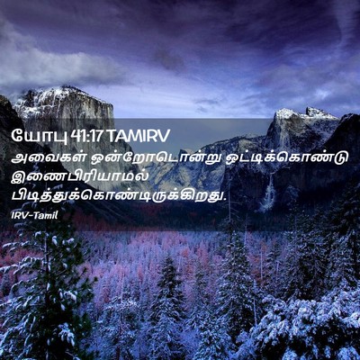Picture 02 - யோபு 41:17 TAMIRV - அவைகள் - Bible Verse Picture