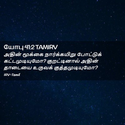 Picture 02 - யோபு 41:2 TAMIRV - அதின் மூக்கை - Bible Verse Picture