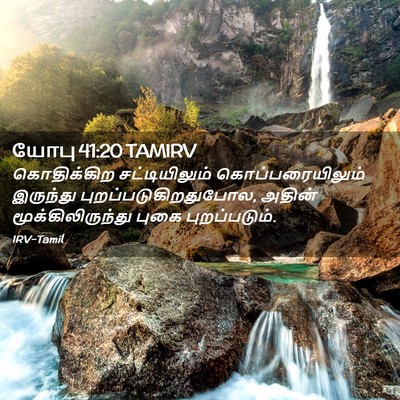 Picture 02 - யோபு 41:20 TAMIRV - கொதிக்கிற - Bible Verse Picture