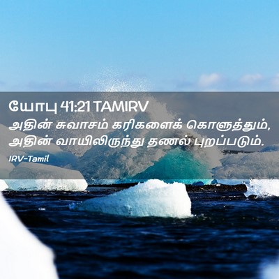 Picture 02 - யோபு 41:21 TAMIRV - அதின் சுவாசம் - Bible Verse Picture