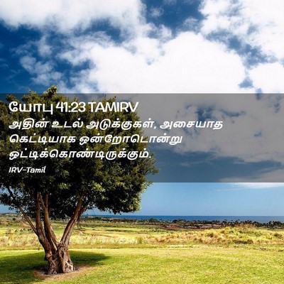 Picture 02 - யோபு 41:23 TAMIRV - அதின் உடல் - Bible Verse Picture