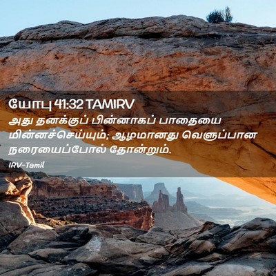 Picture 02 - யோபு 41:32 TAMIRV - அது தனக்குப் - Bible Verse Picture