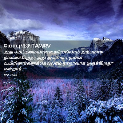 Picture 02 - யோபு 41:34 TAMIRV - அது - Bible Verse Picture