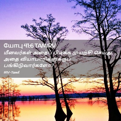 Picture 02 - யோபு 41:6 TAMIRV - மீனவர்கள் அதைப் - Bible Verse Picture