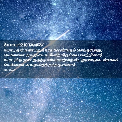 Picture 02 - யோபு 42:10 TAMIRV - யோபு தன் - Bible Verse Picture