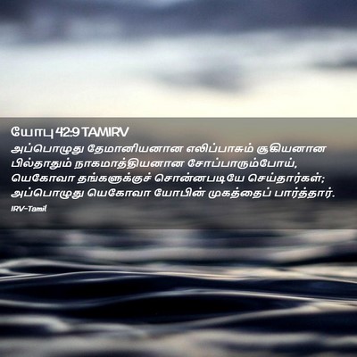 Picture 02 - யோபு 42:9 TAMIRV - அப்பொழுது - Bible Verse Picture