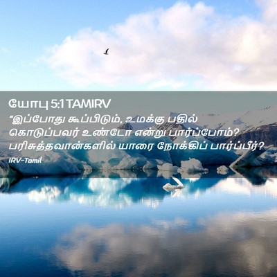 Picture 02 - யோபு 5:1 TAMIRV - “இப்போது - Bible Verse Picture