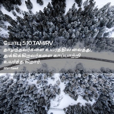 Picture 02 - யோபு 5:10 TAMIRV - தாழ்ந்தவர்களை - Bible Verse Picture