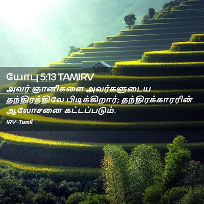 Picture 02 - யோபு 5:13 TAMIRV - அவர் ஞானிகளை - Bible Verse Picture