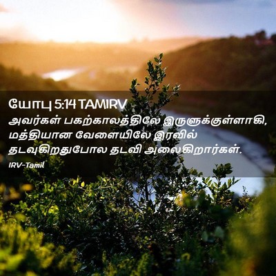 Picture 02 - யோபு 5:14 TAMIRV - அவர்கள் - Bible Verse Picture