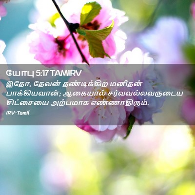 Picture 02 - யோபு 5:17 TAMIRV - இதோ, தேவன் - Bible Verse Picture