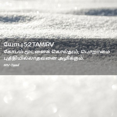 Picture 02 - யோபு 5:2 TAMIRV - கோபம் மூடனைக் - Bible Verse Picture