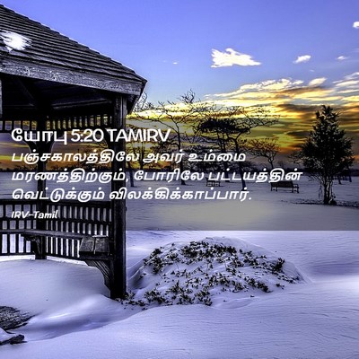 Picture 02 - யோபு 5:20 TAMIRV - பஞ்சகாலத்திலே - Bible Verse Picture