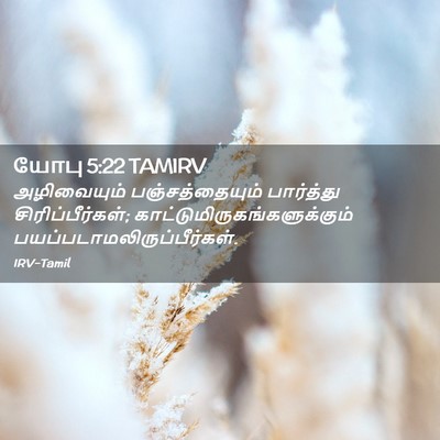Picture 02 - யோபு 5:22 TAMIRV - அழிவையும் - Bible Verse Picture