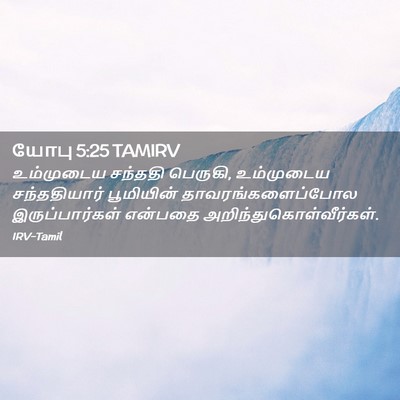 Picture 02 - யோபு 5:25 TAMIRV - உம்முடைய சந்ததி - Bible Verse Picture