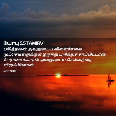 Picture 02 - யோபு 5:5 TAMIRV - பசித்தவன் அவனுடைய - Bible Verse Picture