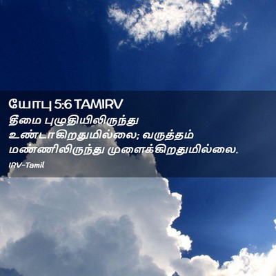 Picture 02 - யோபு 5:6 TAMIRV - தீமை - Bible Verse Picture