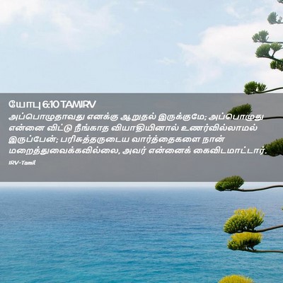 Picture 02 - யோபு 6:10 TAMIRV - அப்பொழுதாவது - Bible Verse Picture