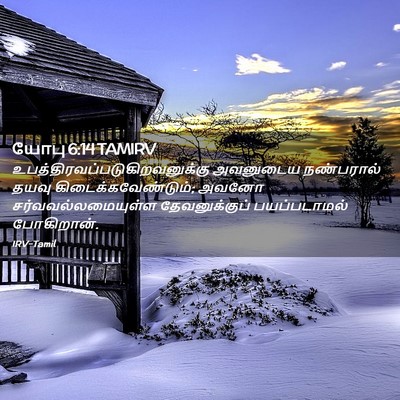 Picture 02 - யோபு 6:14 TAMIRV -  - Bible Verse Picture