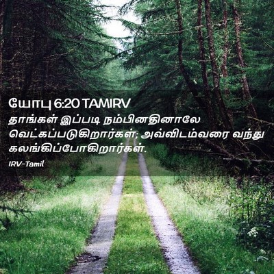 Picture 02 - யோபு 6:20 TAMIRV - தாங்கள் இப்படி - Bible Verse Picture